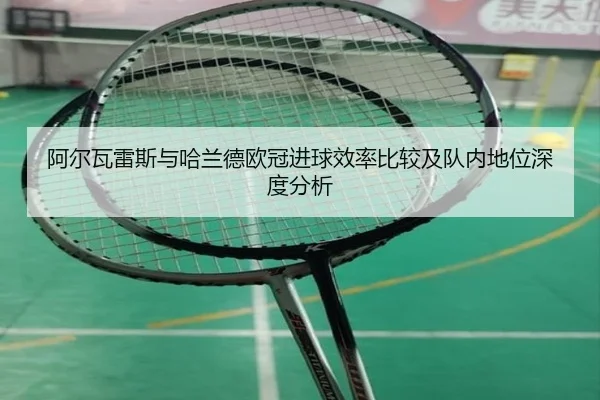 阿尔瓦雷斯与哈兰德欧冠进球效率比较及队内地位深度分析